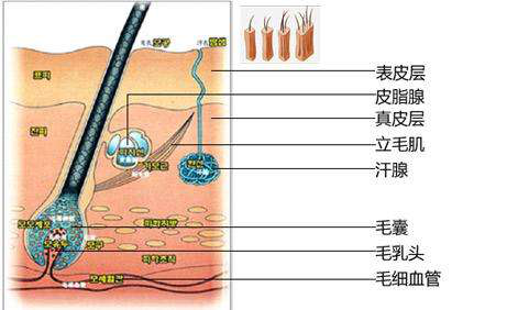 親子鑒定結果雖是親生，可是孩子長得不像我，鑒定結果會不會出錯？