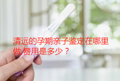 清遠的孕期親子鑒定在哪里做費用是多少？