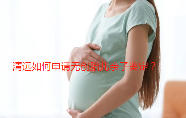 清遠如何申請無創胎兒親子鑒定？