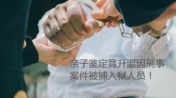 親子鑒定竟升溫因刑事案件被捕入獄人員！