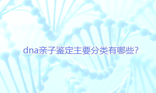 dna親子鑒定主要分類有哪些？